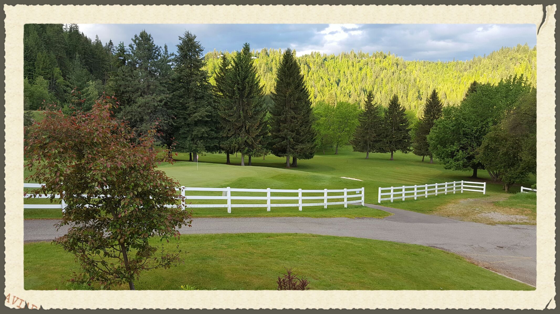 50 Shades of Green Bonners Ferry Idaho